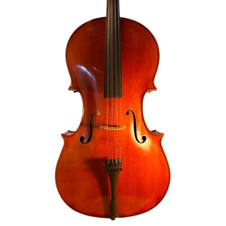 Salient Strings M700