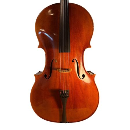 Salient Strings M500
