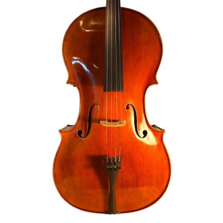 Salient Strings M300