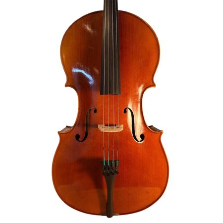 Salient Strings M800